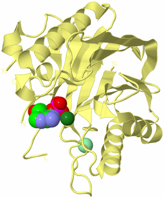 Image Biological Unit 4