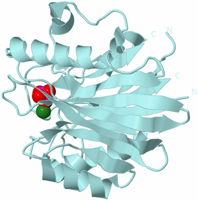 Image Biological Unit 6