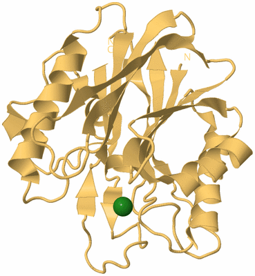 Image Biological Unit 7