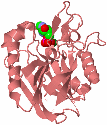 Image Biological Unit 8