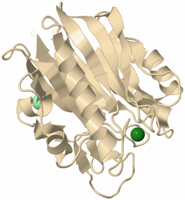 Image Biological Unit 9