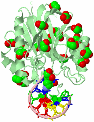 Image Biological Unit 2