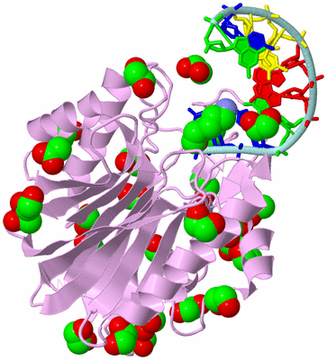 Image Biological Unit 3