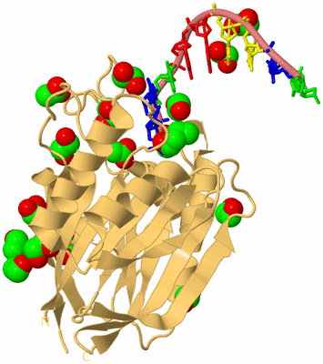 Image Biological Unit 4