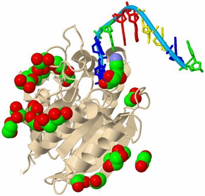 Image Biological Unit 5