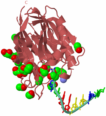 Image Biological Unit 6