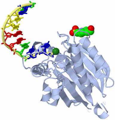 Image Biological Unit 1