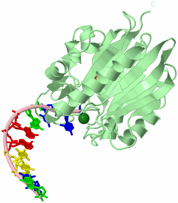 Image Biological Unit 2