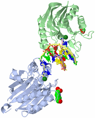 Image Biological Unit 3