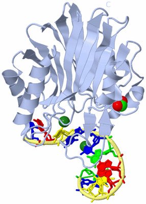 Image Biological Unit 1