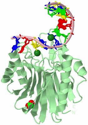 Image Biological Unit 2