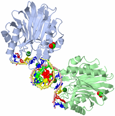 Image Biological Unit 3