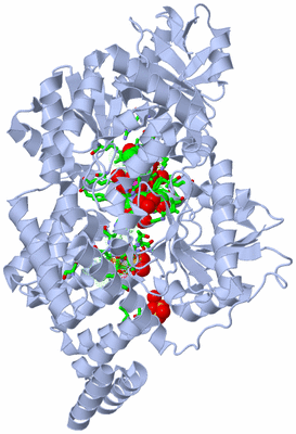 Image Biol. Unit 1 - sites