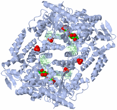 Image Biological Unit 3