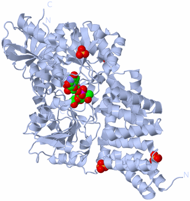 Image Biological Unit 1