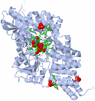 Image Biol. Unit 1 - sites