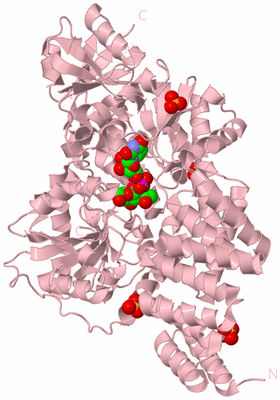 Image Biological Unit 3