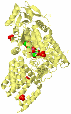 Image Biological Unit 4