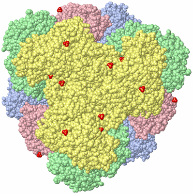 Image Biological Unit 5