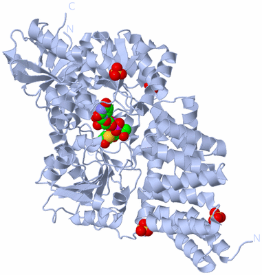 Image Biological Unit 1