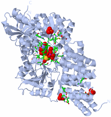 Image Biol. Unit 1 - sites