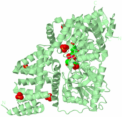 Image Biological Unit 2