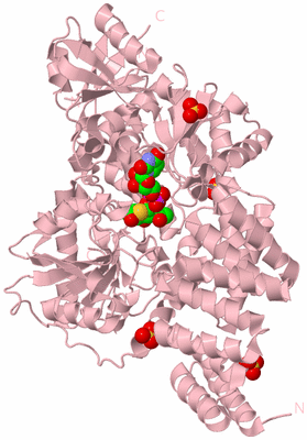 Image Biological Unit 3