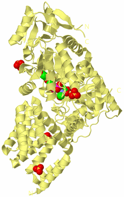 Image Biological Unit 4