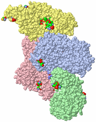 Image Asym. Unit - sites