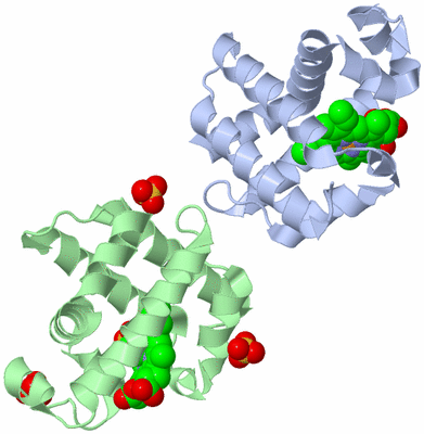 Image Biological Unit 1