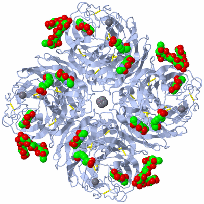 Image Biological Unit 1