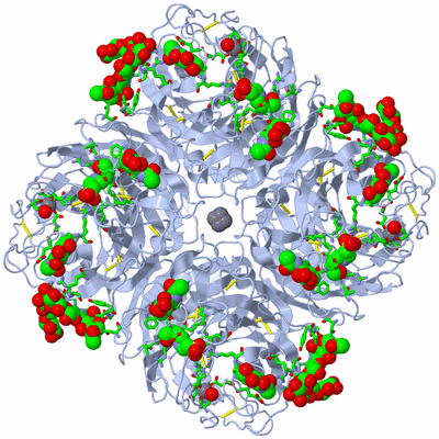 Image Biol. Unit 1 - sites