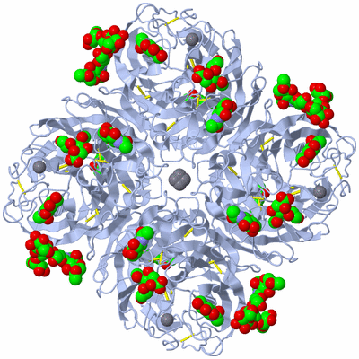 Image Biological Unit 1