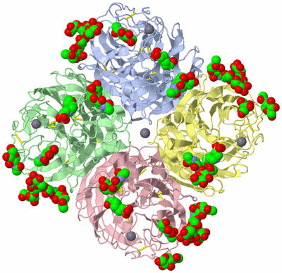 Image Asym./Biol. Unit