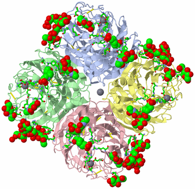 Image Asym./Biol. Unit - sites