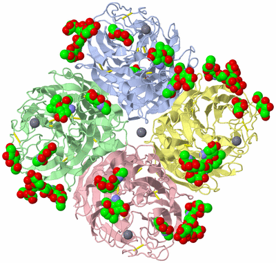 Image Asym./Biol. Unit