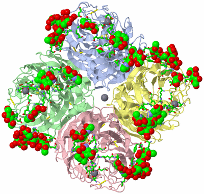 Image Asym./Biol. Unit - sites