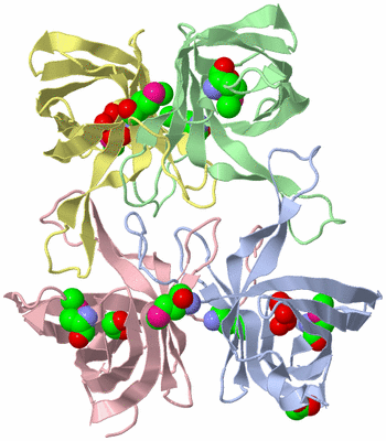 Image Biological Unit 1