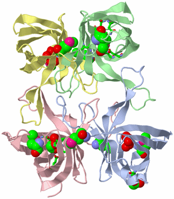 Image Biol. Unit 1 - sites