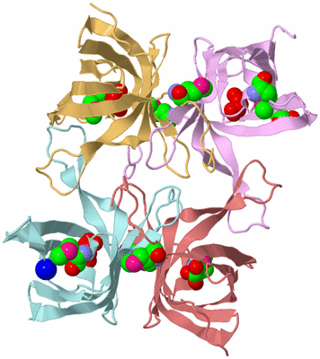 Image Biological Unit 2