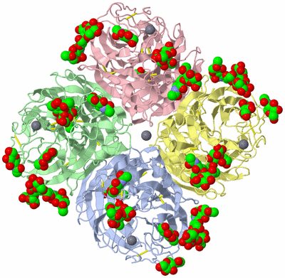 Image Asym./Biol. Unit