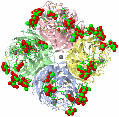 Image Asym./Biol. Unit - sites