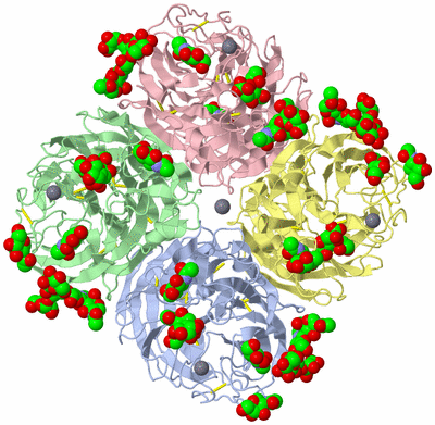 Image Asym./Biol. Unit