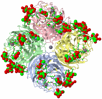 Image Asym./Biol. Unit - sites