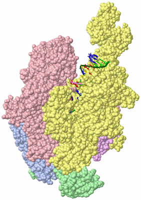 Image Asym./Biol. Unit