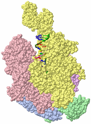 Image Asym./Biol. Unit