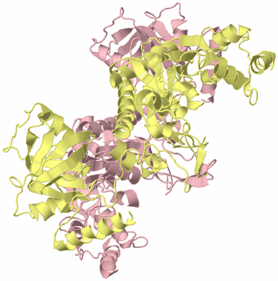 Image Biological Unit 2