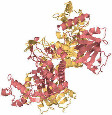 Image Biological Unit 4