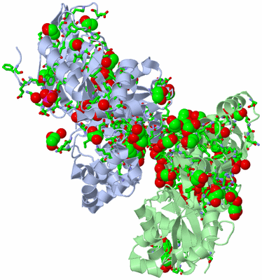 Image Asym./Biol. Unit - sites