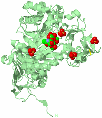 Image Biological Unit 2